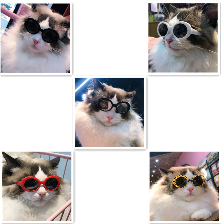 Pet Dog Cat Multi-color Sunglasses Cool Handsome Accessories