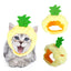 Curly Hair Pet Hat Cat Funny Dress Up Pet Products