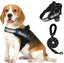 Pet Clothing Dog Couple