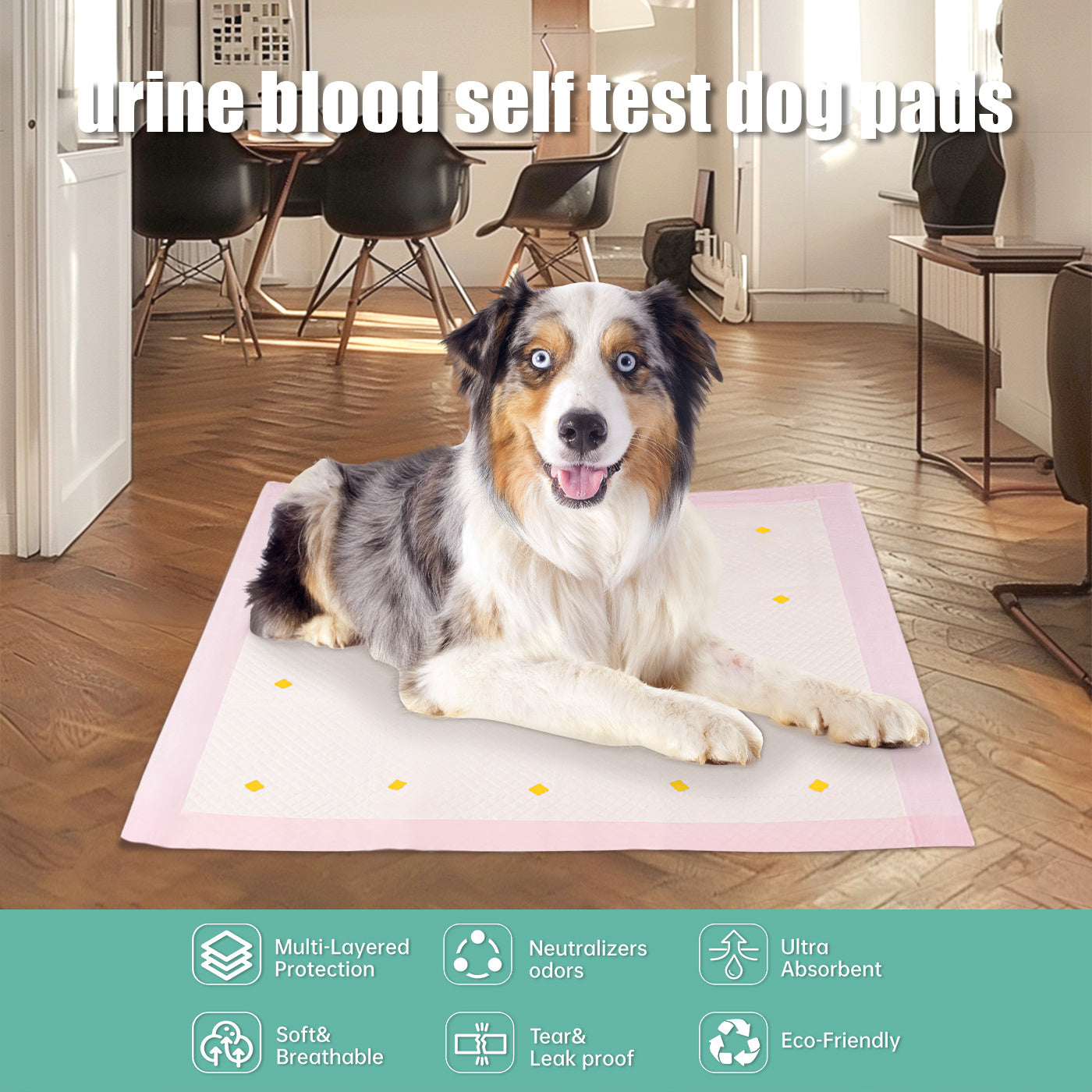Dog Training & Detection Urine Pads – Super Absorbent Leak-Proof Pee Pads (10-Pack)