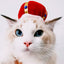 Curly Hair Pet Hat Cat Funny Dress Up Pet Products