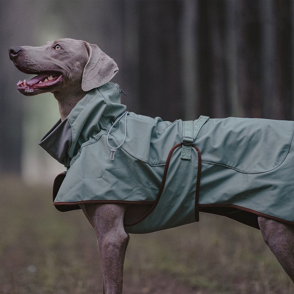 Outdoor Soft Shell Waterproof Windproof Warm Dog Soft Shell Jacket Main image