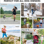 Hands Free Dog Leash Pet