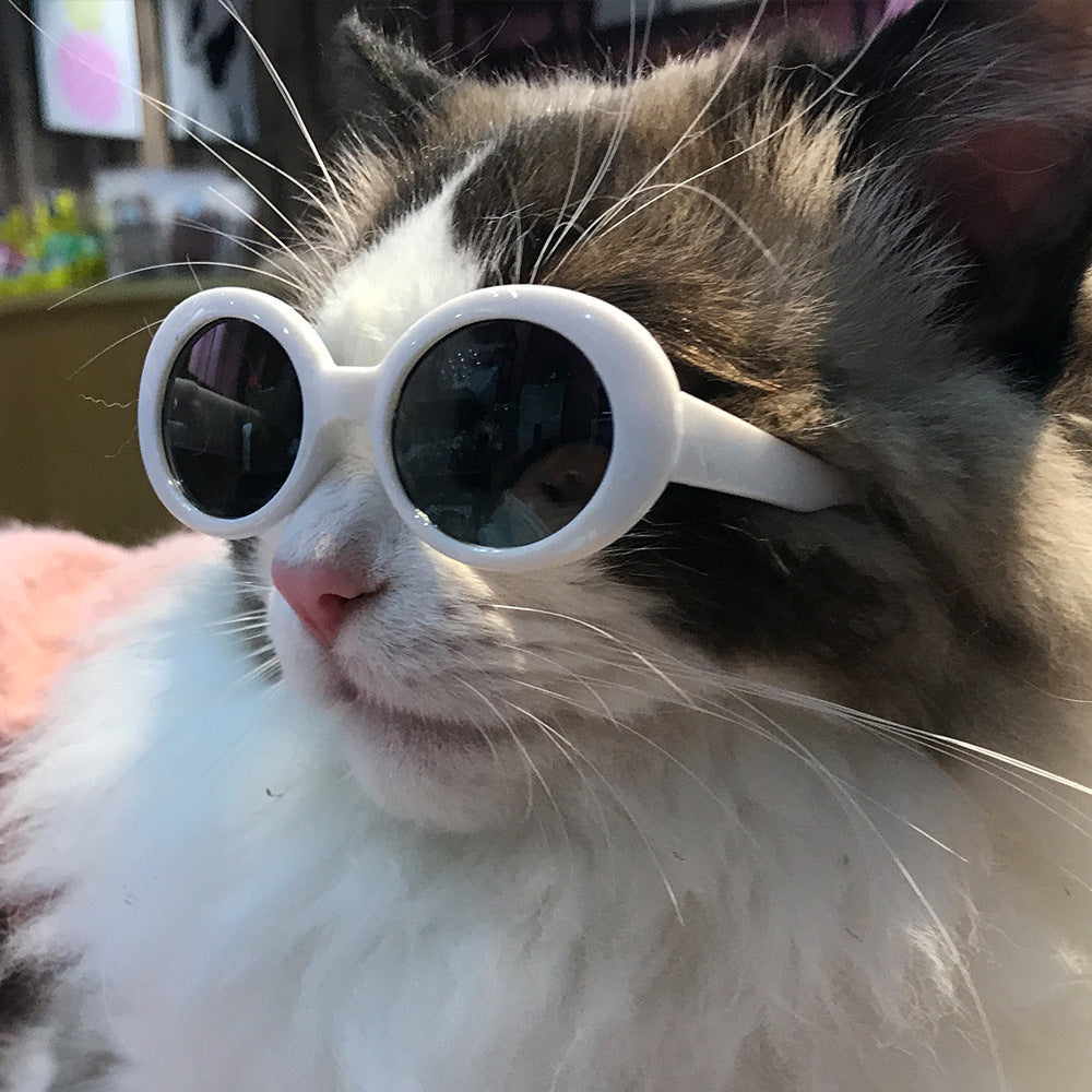 Pet Dog Cat Multi-color Sunglasses Cool Handsome Accessories Main image