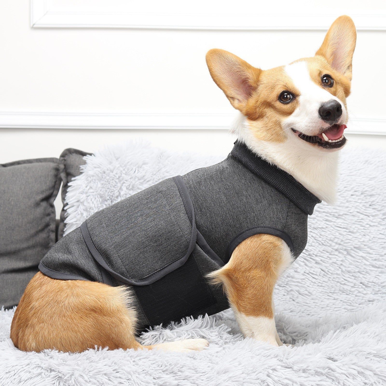Pet Polyester Emotional Comfort Cotton Double Jacket Clothes Main image
