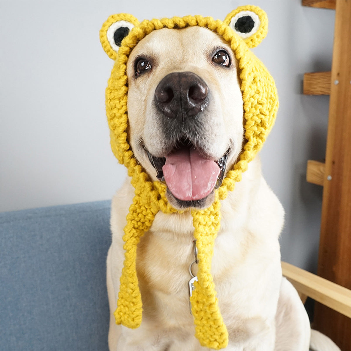Dog Hand Knitted Wool Hat Main image