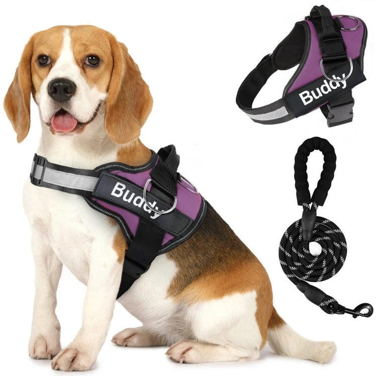 Pet Clothing Dog Couple