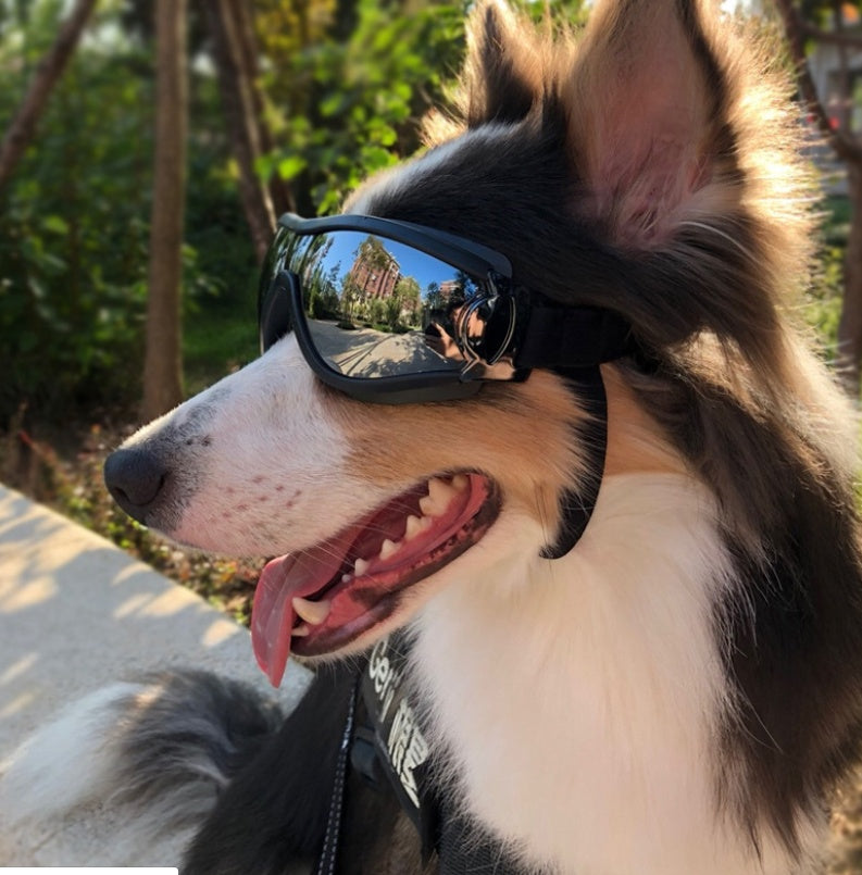 Pet glasses dog supplies goggles