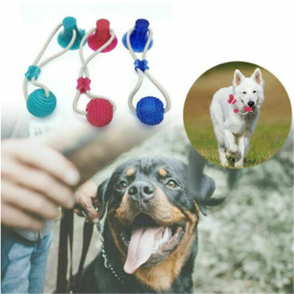 Dog Biting Sucker Multifunction Pet Molar Bite Toy Main image