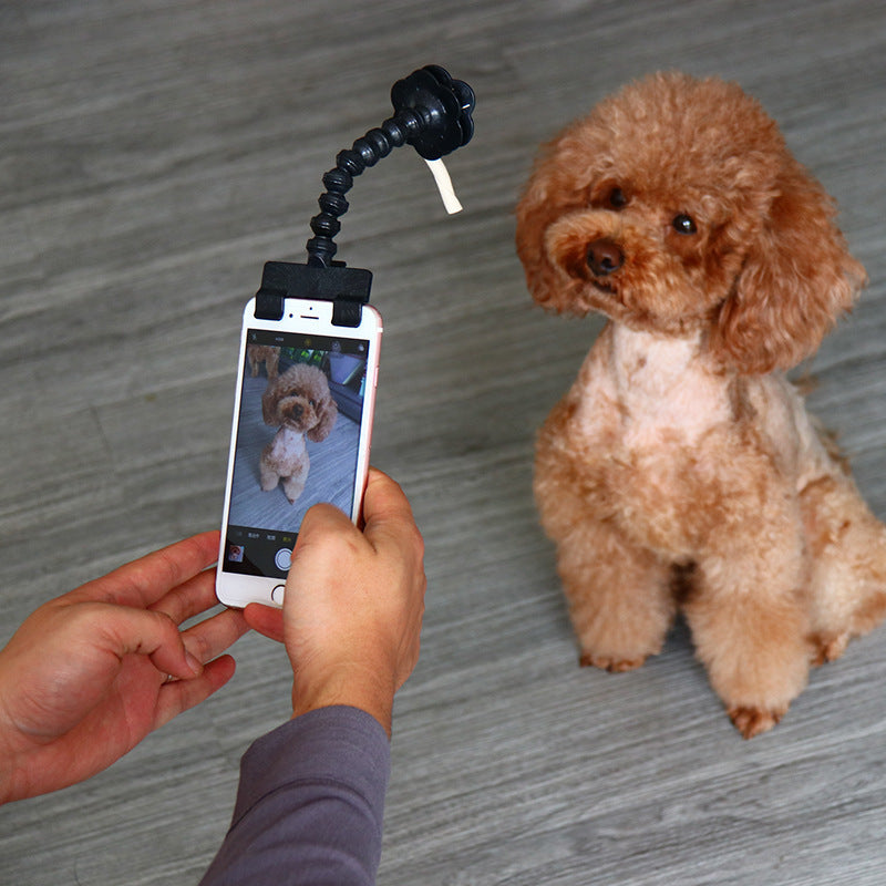 Pet Selfie Stick Pet Supplies Toys Pet Selfie Artifact Main image