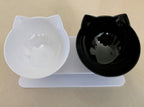 Inclined Cat Food Bowl