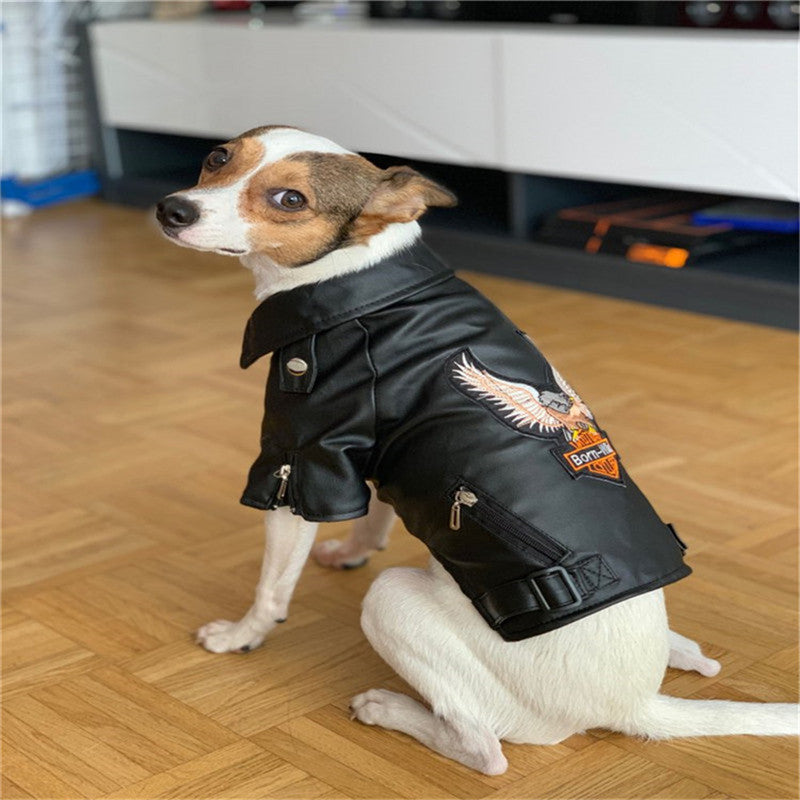 Pet Small Dog Sticker Embroidered Eagle Leather Jacket Main image