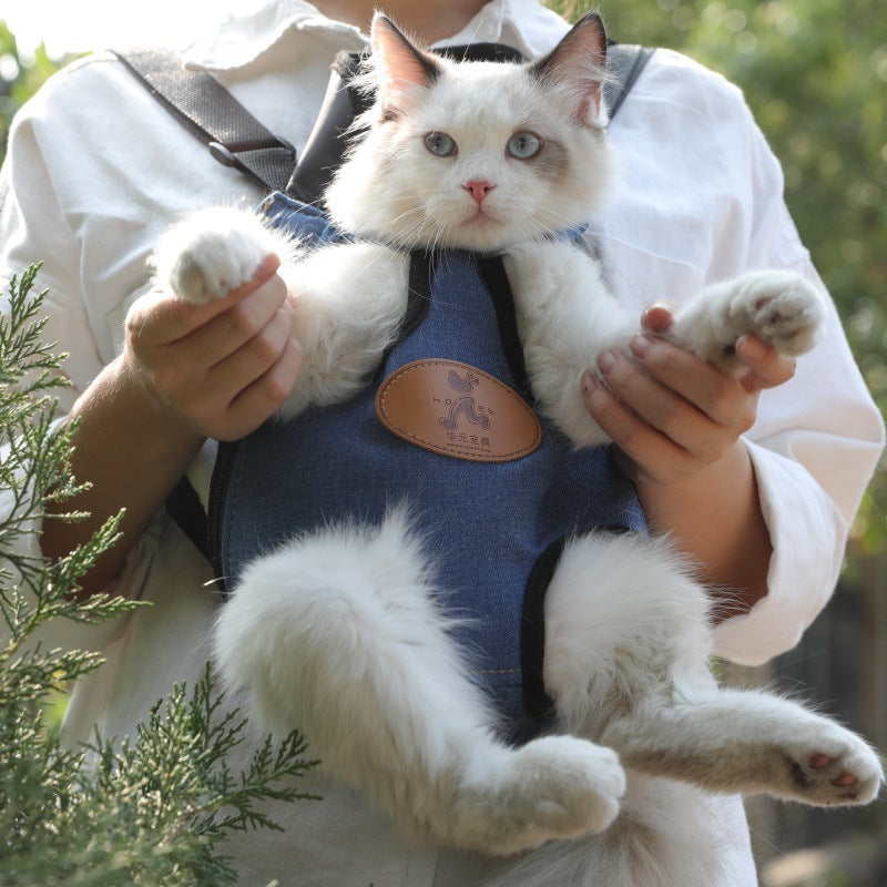Portable cat backpack for spring outing Secondary image