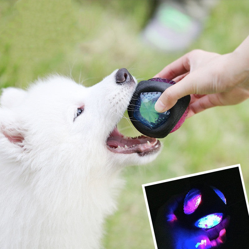 Dog Bite Resistant Ball Sound Bite Toy Main image