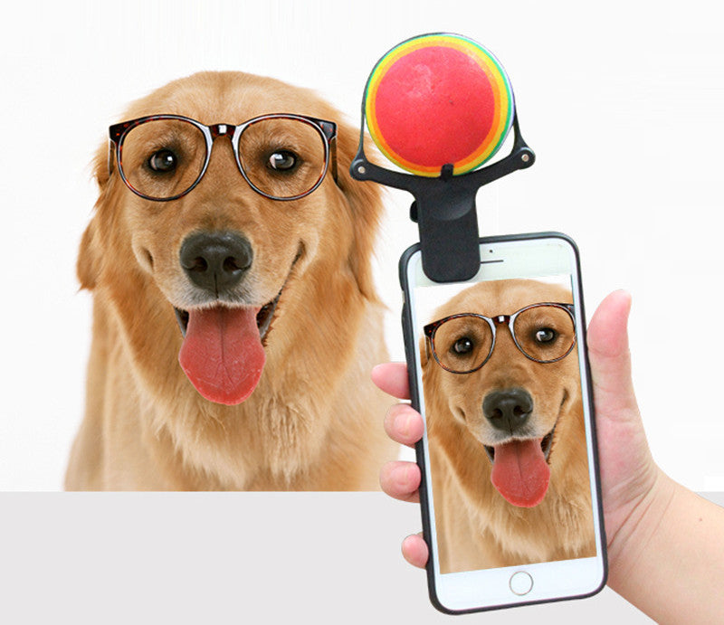 Pet photo props toy pet photo selfie artifact funny dog camera phone clip tennis selfie clip Secondary image