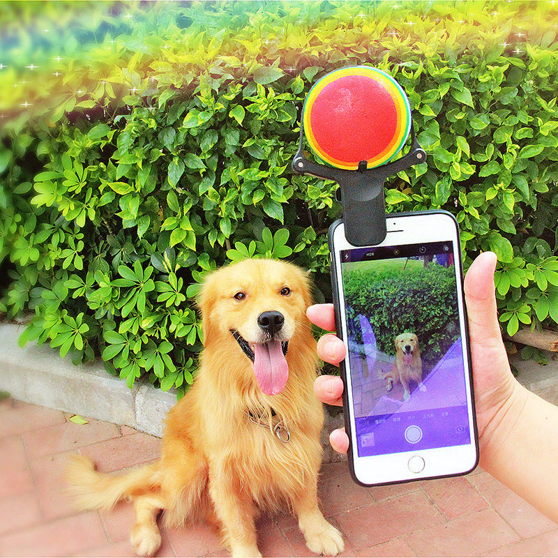 Pet photo props toy pet photo selfie artifact funny dog camera phone clip tennis selfie clip Main image