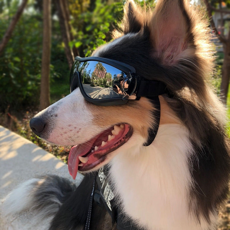 Pet Glasses Dog Sunglasses Law Main image