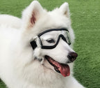 Pet Glasses Dog Sunglasses Law