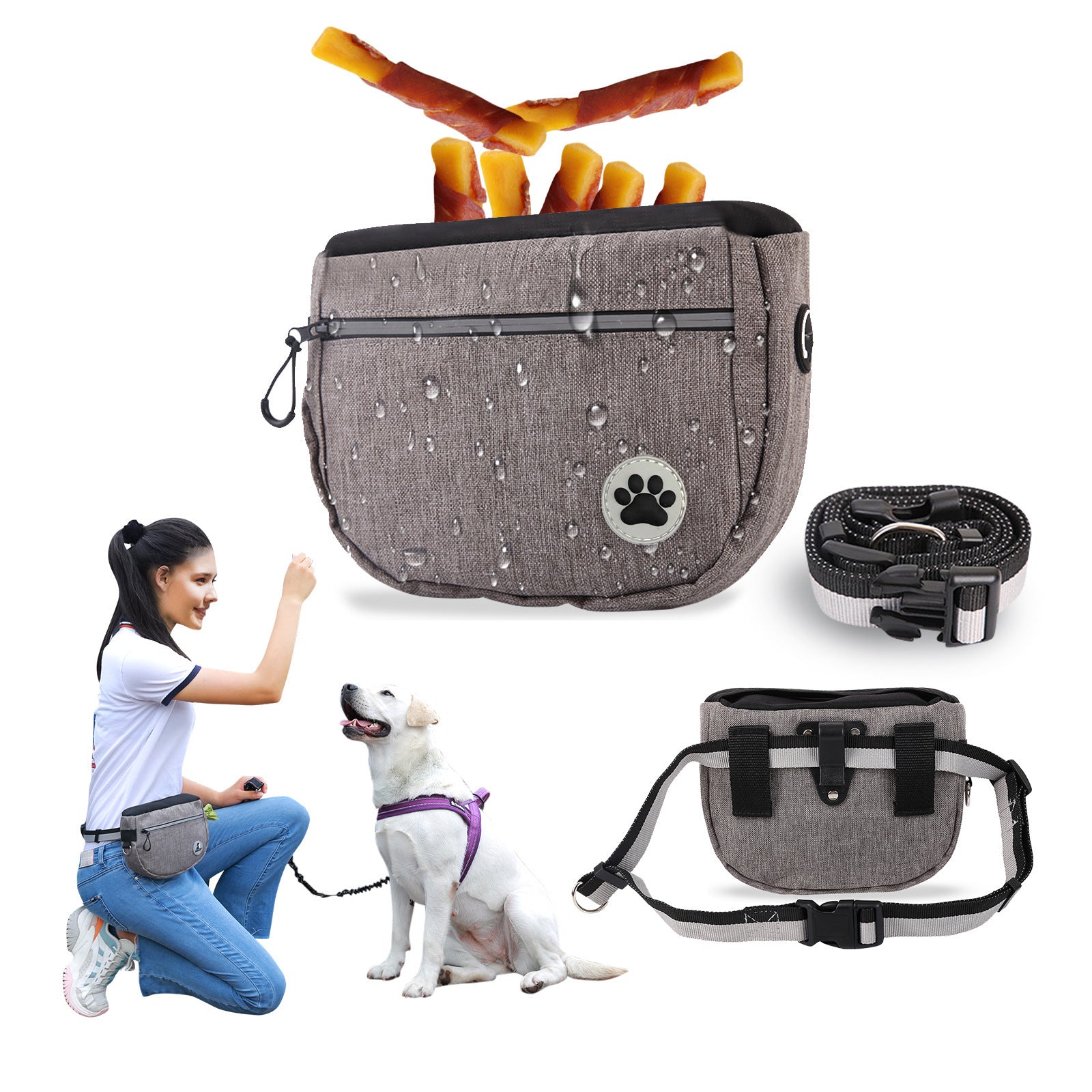 Pet Snack Bag For Walking, Walking The Dog Artifact, Outing Dog Training Snack Bag Main image