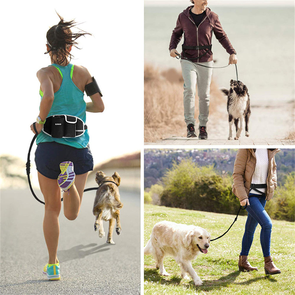 Dog Training Leash Waist Bag Hands-Free Outdoor Pet Running Walking Leash Portable Dog Food Water Cup Storage Bags Main image
