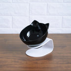 Inclined Cat Food Bowl