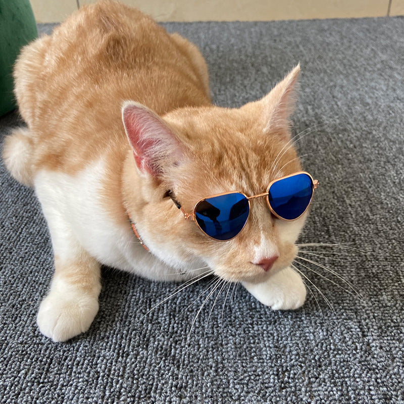 Creative Fashion Mini Pet Cat Sunglasses Main image