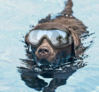 Pet glasses dog supplies goggles