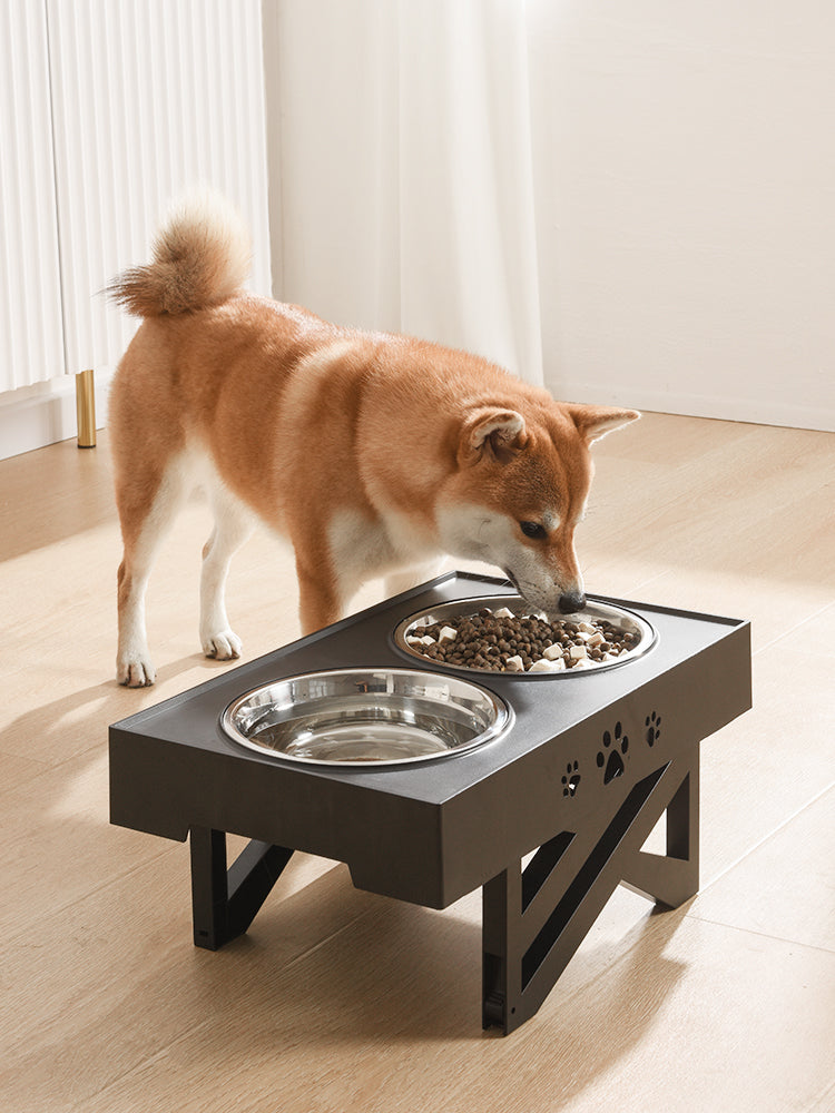 Pet Bowl Dog Bowl Pet Feeder Main image