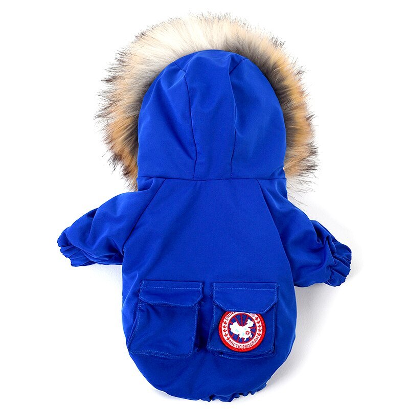 Pet dog clothes wool hat clothes cotton clothes Secondary image