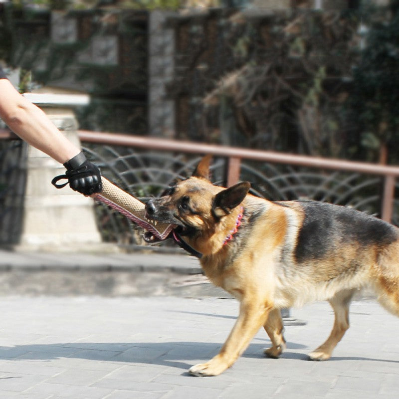 Biting Dog Training Professional Working Dog Secondary image