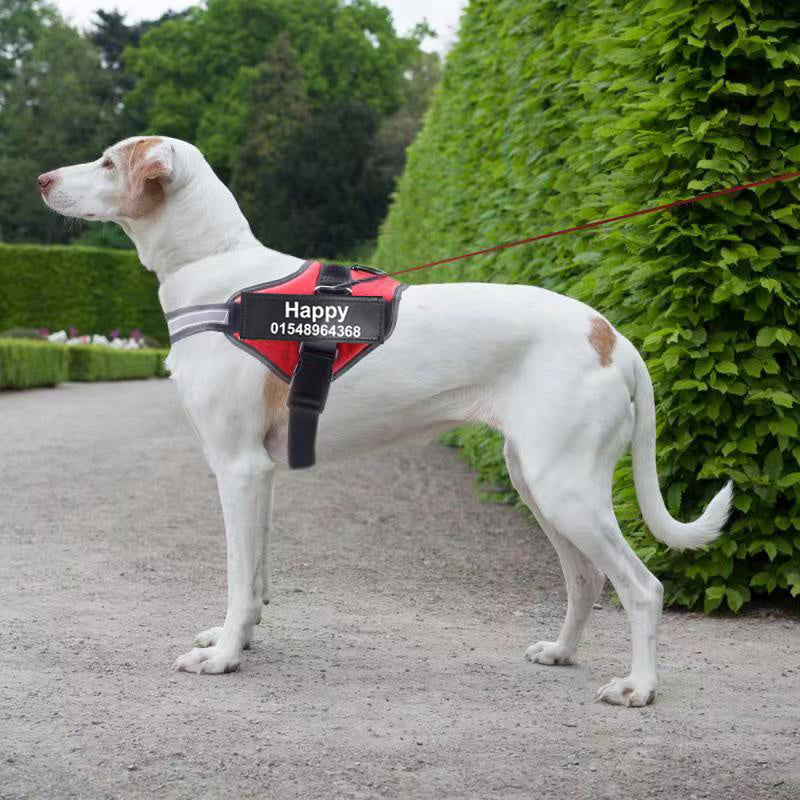 Personalized Custom Reflective Breathable Dog Harness NO PULL Adjustable Pet Harness For Small Large Dog Harness Vest With Patch Main image