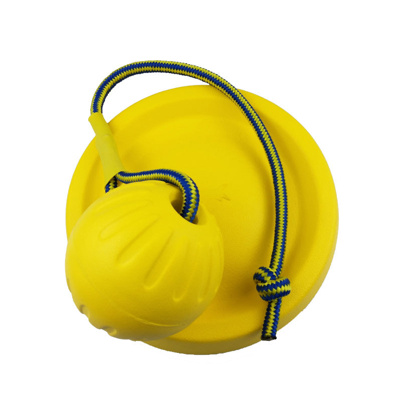 EVA Pet Ball Dog Toy Secondary image