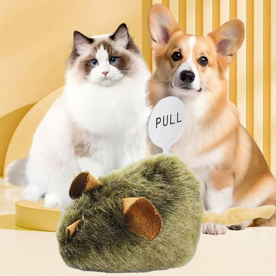Funny Plush Mice Cat Toy Simulation Mouse Kitten Toy Bite-resistant Automatic Chirping Interactive Cat Chew Toy