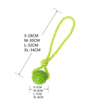 Pet Dog Bouncy Ball, Bite-resistant Solid Ball, Rubber Bite