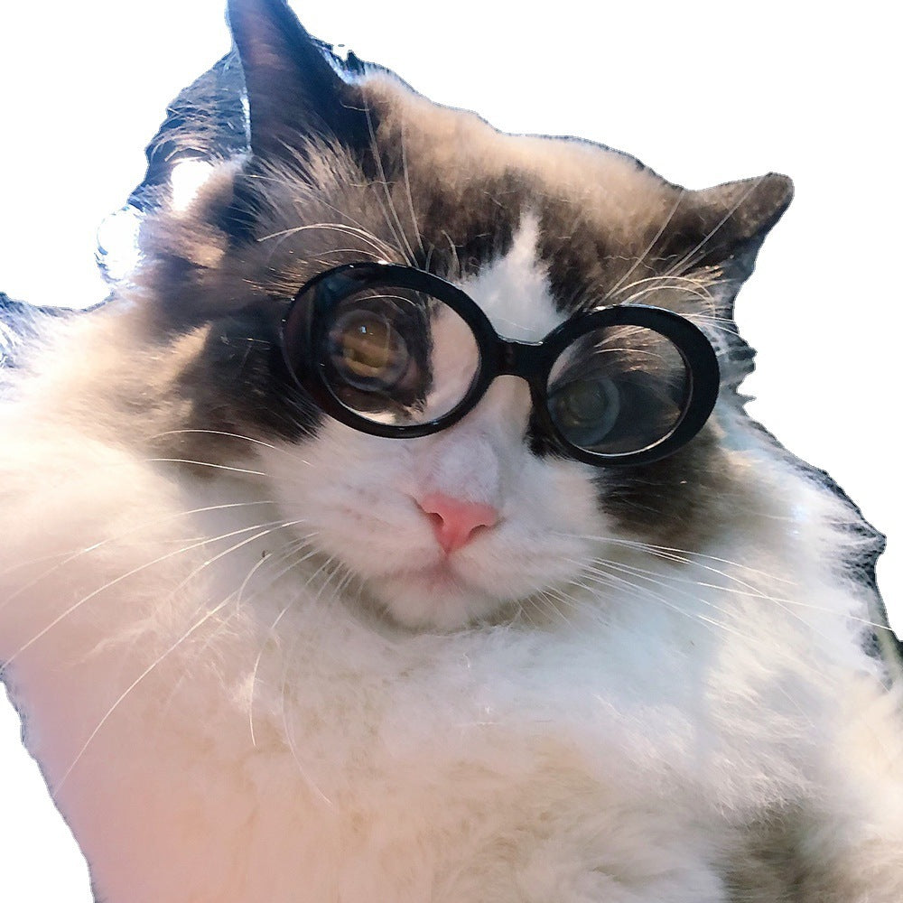 Pet Dog Cat Multi-color Sunglasses Cool Handsome Accessories