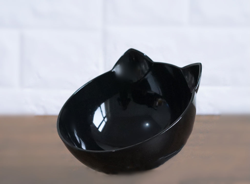 Inclined Cat Food Bowl