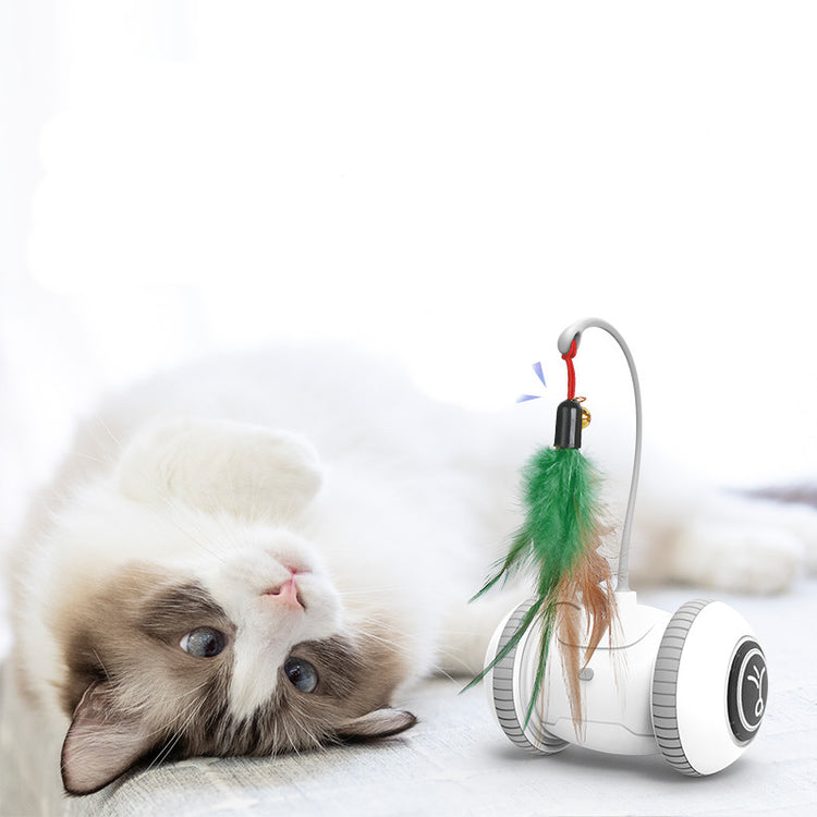 Interactive Cat Toy With Interchangeable Heads Pet Feather T