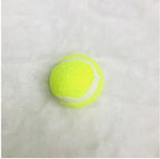Dog Durable And Fun Rubber Molar Tennis