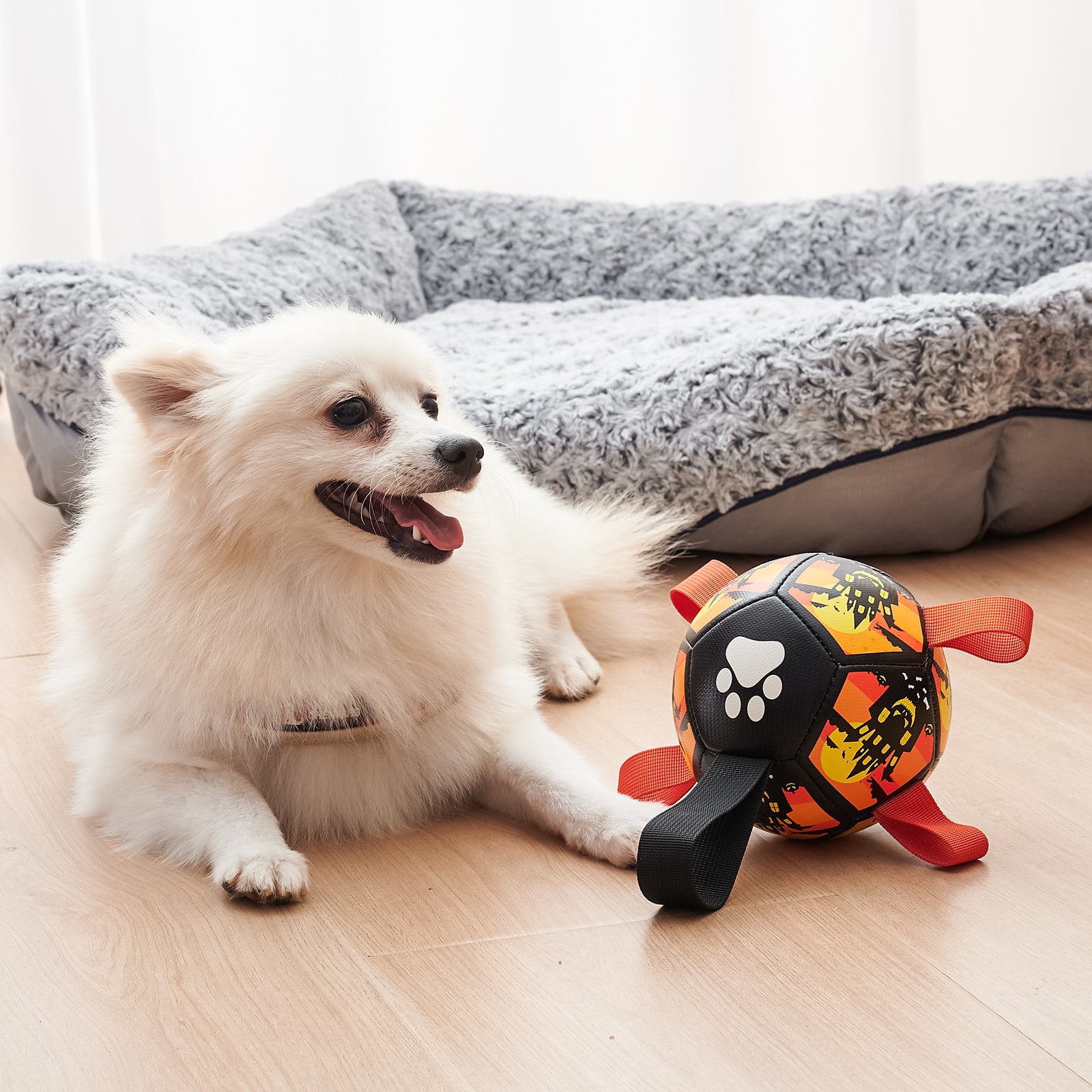 Dog Soccer Balls Toy With Sraps Halloween Christmas Gift For Pets Puppy Birthday Toy Interactive Toys For Tug Of War Water Toys Main image
