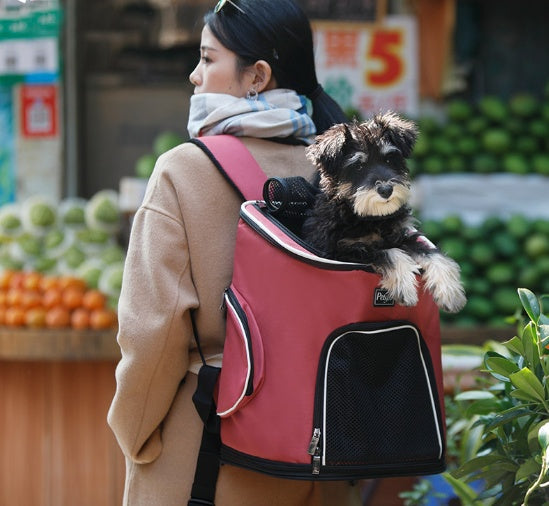 Pet Dog Backpack Main image