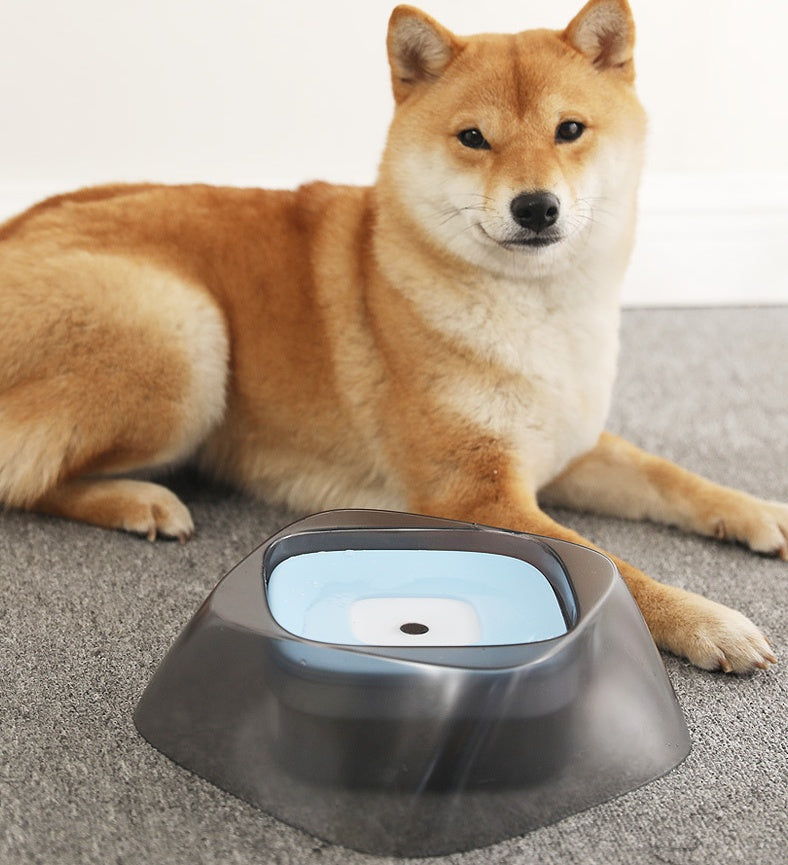 Pet Dog Bowl Floating Main image