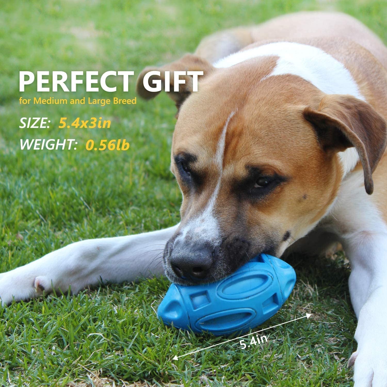 Pet Supplies Dog Toys Rubber Sounding Rugby Wear-Resistant Bite-Resistant Sounding Dog Ball Main image
