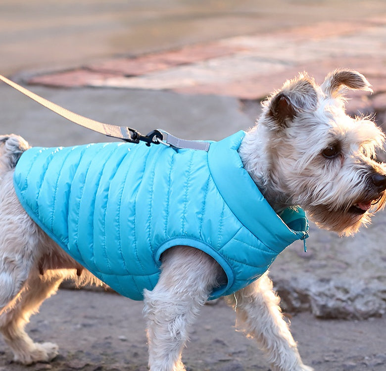 New Pet Dog Clothing Autumn And Winter Full Nylon Zipper Puppy Jacket Dog Clothing Main image