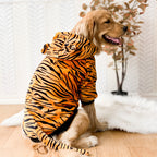 Pet Dog Golden Retriever Clothes Tiger Pet Costume