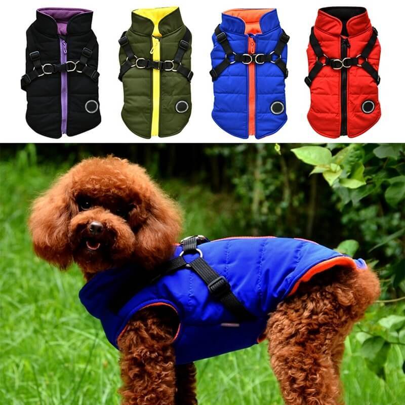 Dog zipper jacket Main image