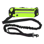Hands Free Dog Leash Pet
