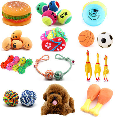 Pet dog toy ball Main image