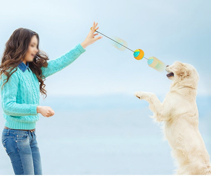 New Pet Draw Rope Hand Throwing Ball ABS Grinding Teeth Resistant Chew Dog Training Ball Secondary image