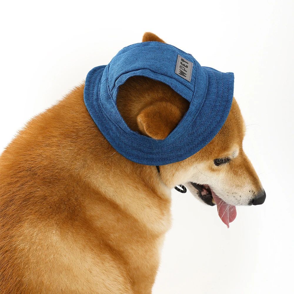 Pet Hat With Ear Holes For Medium