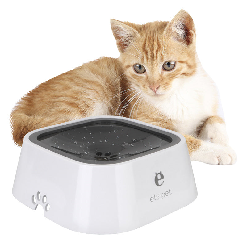 Cat Dog Water Bowl